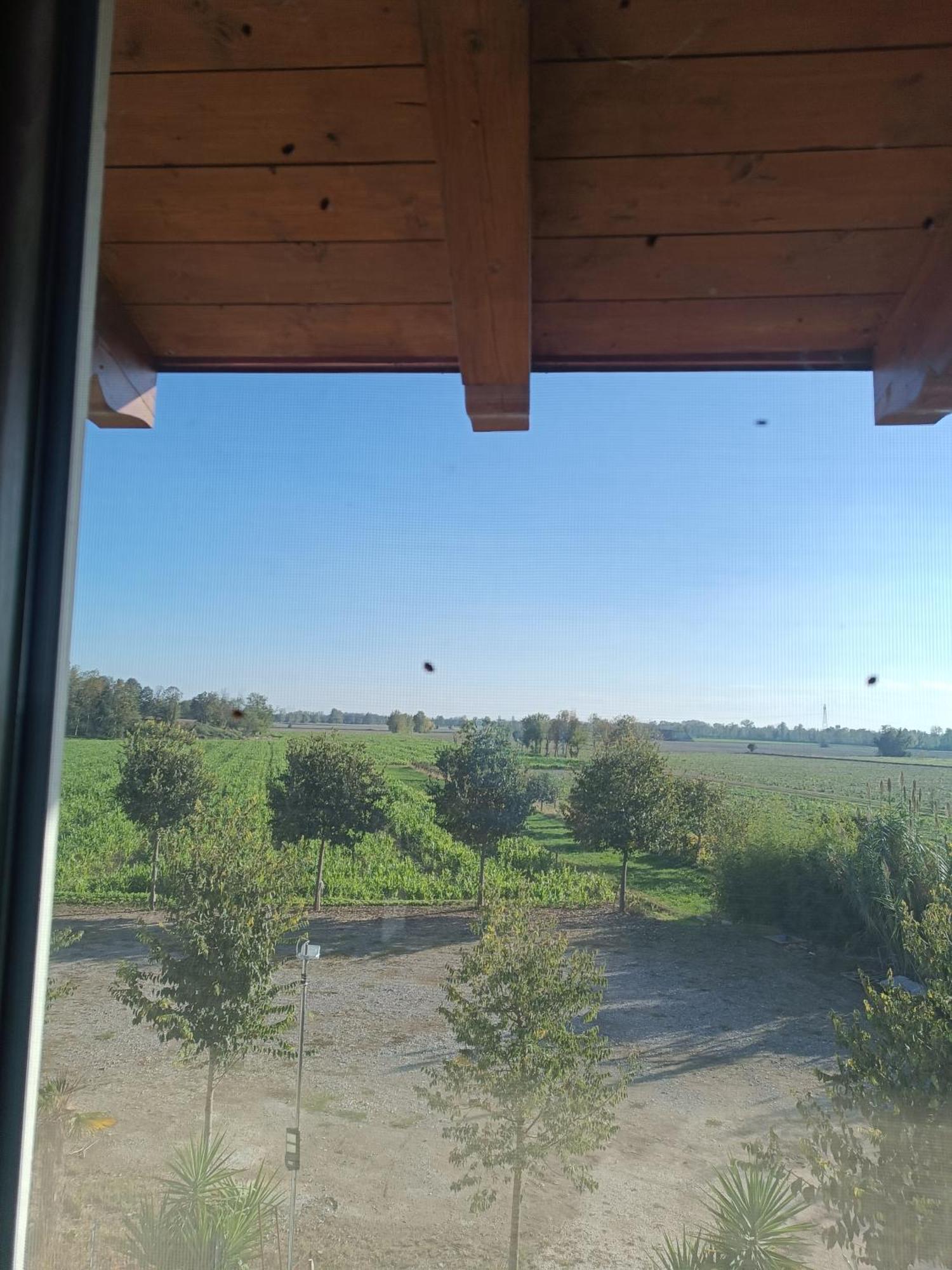 Agriturismo Le Fontanelle Da Valente Montichiari Bagian luar foto